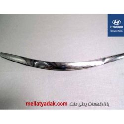 زه لبه درب کاپوت سوناتا