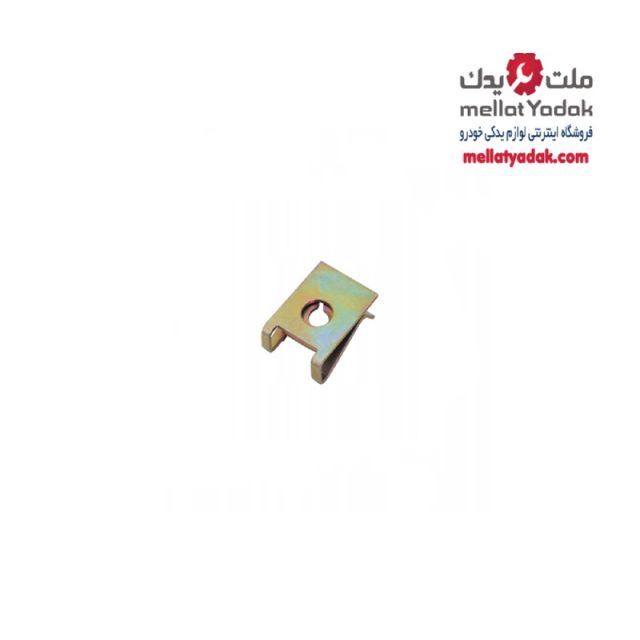 خار شلگیر