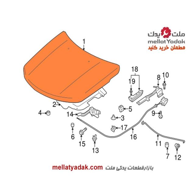 کاپوت ویتارا