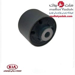 بوش طبق(بزرگ) جلو سراتو سایپایی