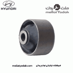 بوش طبق بزرگ آزرا