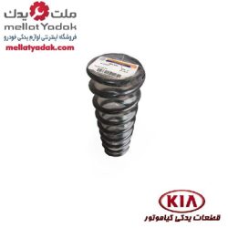 فنر لول جلو سراتو سایپا کره ای