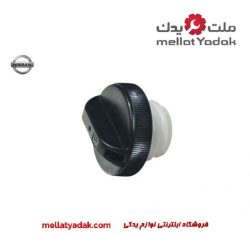 درب باک پیکاپ