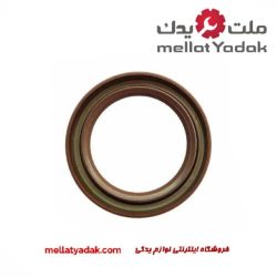 کاسه نمد میلنگ پرادو