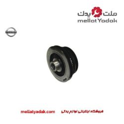 فولی سر میرلنگ پیکاپ