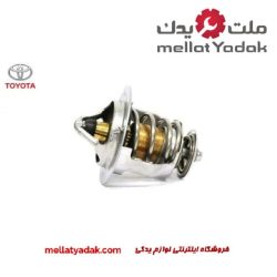 ترموستات کمری