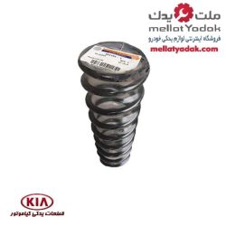 فنر لول جلو سراتو سایپا_کره ای