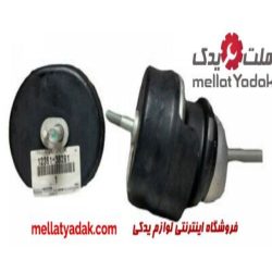 دسته موتور زیر رادیاتور لکسوس