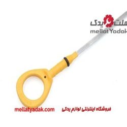 گژروغن کمری