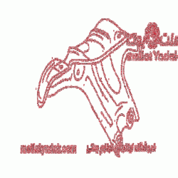 کاور روی مانیفولد