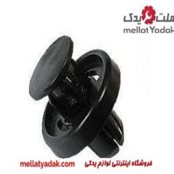 خار شلگیر