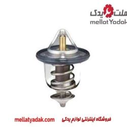 ترمستات اززیر