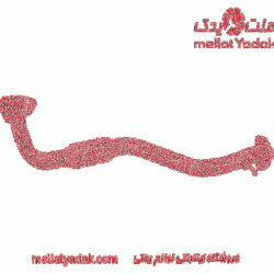 گلوئی اگزوز لندکروزر