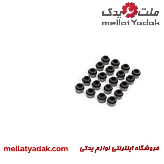 لاستیک ساق سوپاپ آزرا / سانتافه 3500