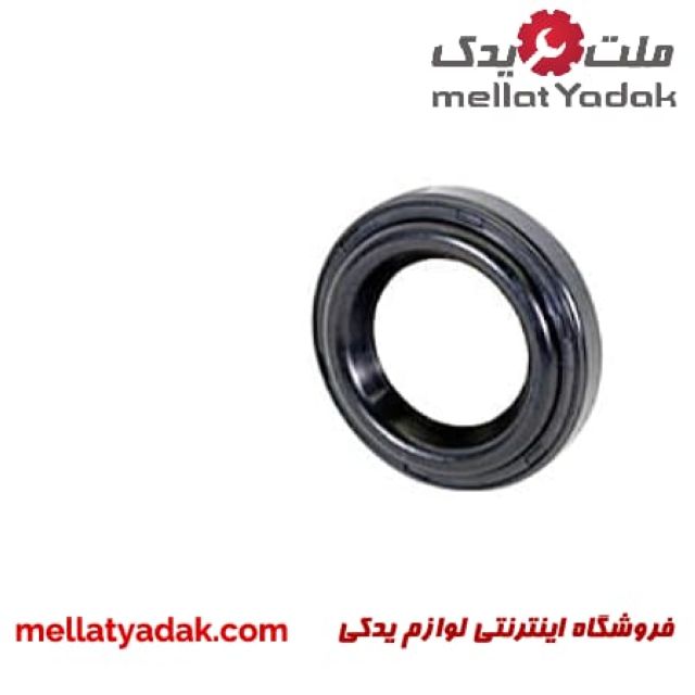 اورینگ در سوپاپ النترا 3 اورینگ در سوپاپ النترا 2015