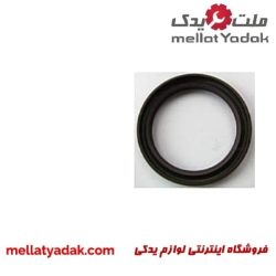 کاسه نمد سر میل لنگ النترا