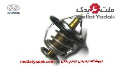 ترموستات جنسیس کوپه
