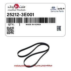 تسمه دینام سانتافه