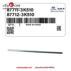 زه در جلو سوناتا