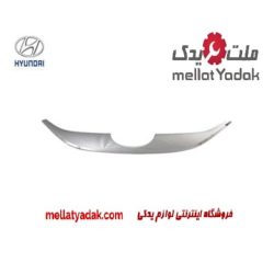 زه جلو پنجره توسان