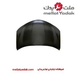 درب موتور راوفور