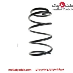 فنر لول جلو ماکسیما وارداتی