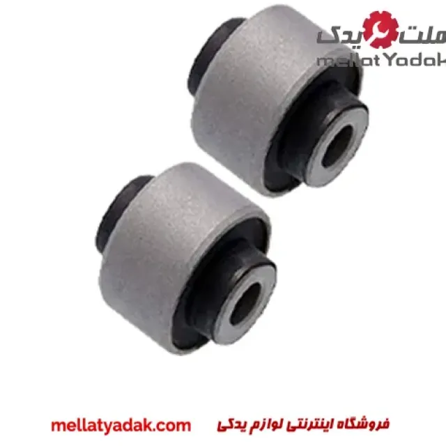 بوش طبق بزرگ مورانو