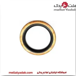 کاسه نمد پلوس عقب پرادو