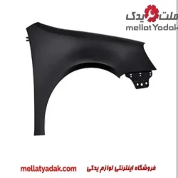 گلگیر جلو یاریس