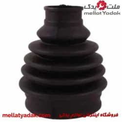 گردگیر پلوس بیرونی زانتیا