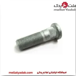 پیچ چرخ تیانا
