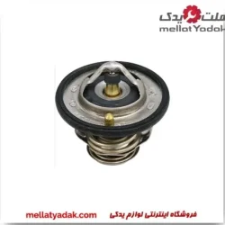 ترموستات رونیز