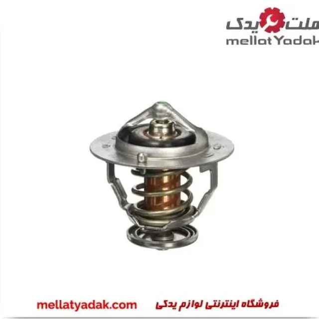 ترموستات یاریس