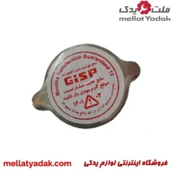 درب رادیاتور نیسان – 591601