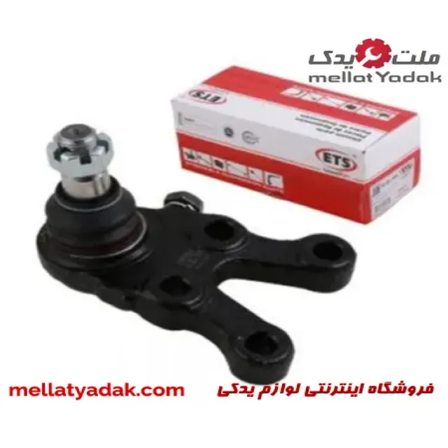سیبک طبق پایین چپ