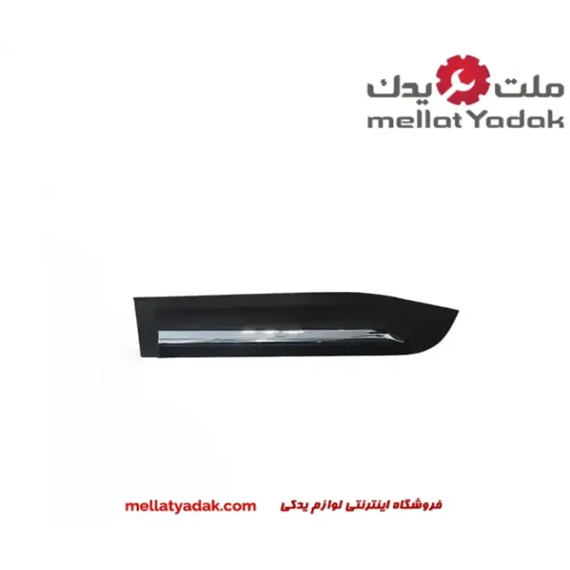زه در عقب