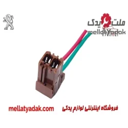 سوکت چراغ خطر عقب پژو 405 (کوچک)