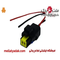 سوکت دو فیش سوزنی پراید