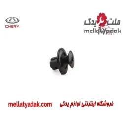 خار شلگیر چری آریزو 5