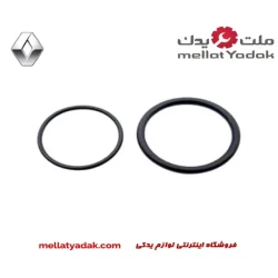 اورینگ دریچه گاز رنو ساندرو