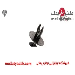 خار شلگیر رانا