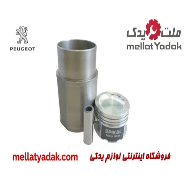 بوش و پیستون پژو 405