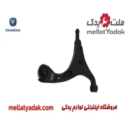 طبق جلو چپ چانگان