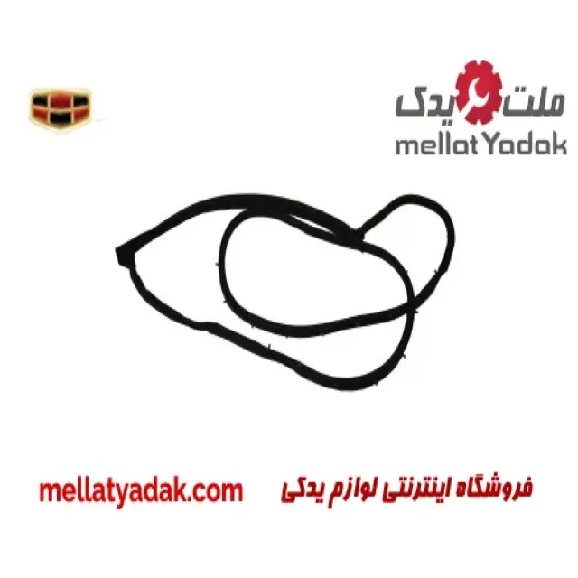 نوار دور درب جلو چپ