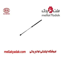 فیلتر بنزین نیسان ماکسیما