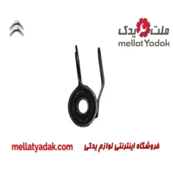 بوش طبق جناقی چپ زانتیا