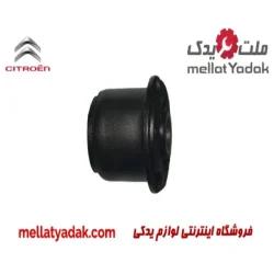 بوش طبق لبه دار زانتیا