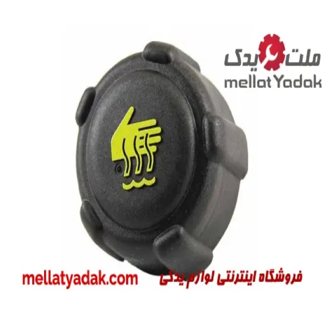 درب منبع انبساط رنو تندر