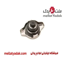 درب رادیاتور کمری