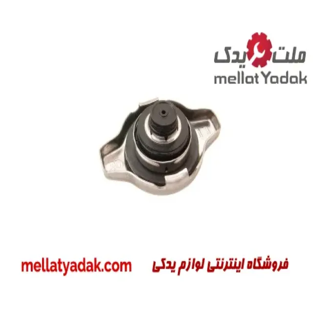 درب رادیاتور کمری